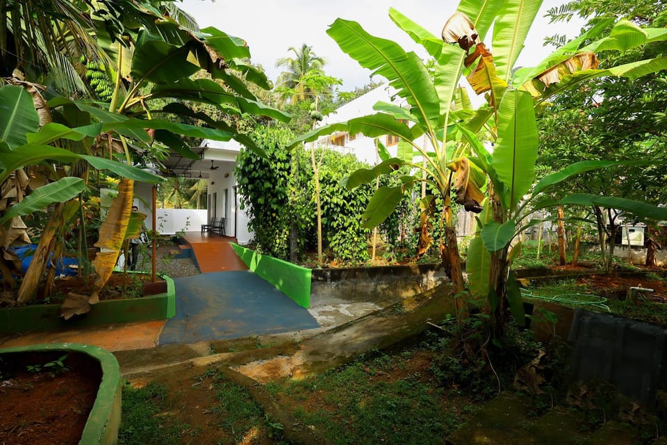 Garden view