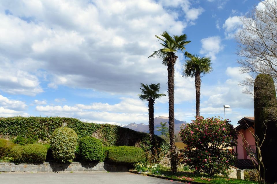 Garden, Mountain view