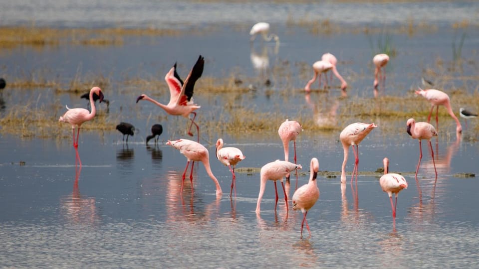 Sia Bed and Breakfast in Tanzania