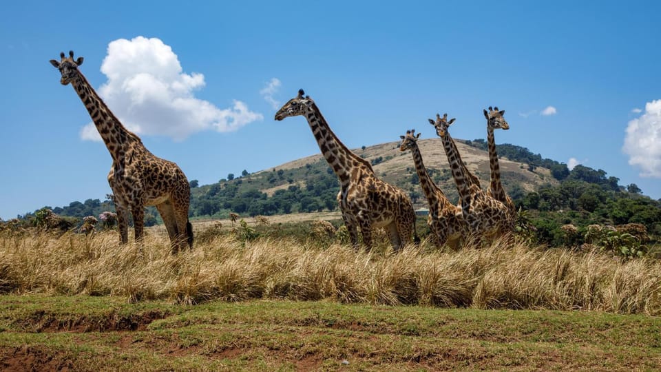 Sia Bed and Breakfast in Tanzania