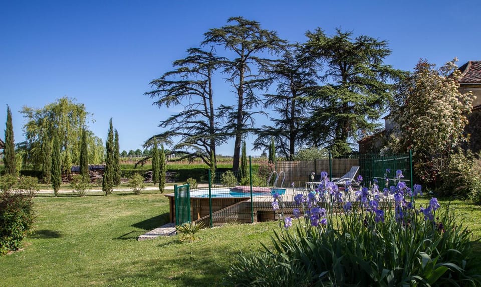 Garden, Balcony/Terrace, Garden view, Pool view, Swimming pool, Swimming pool