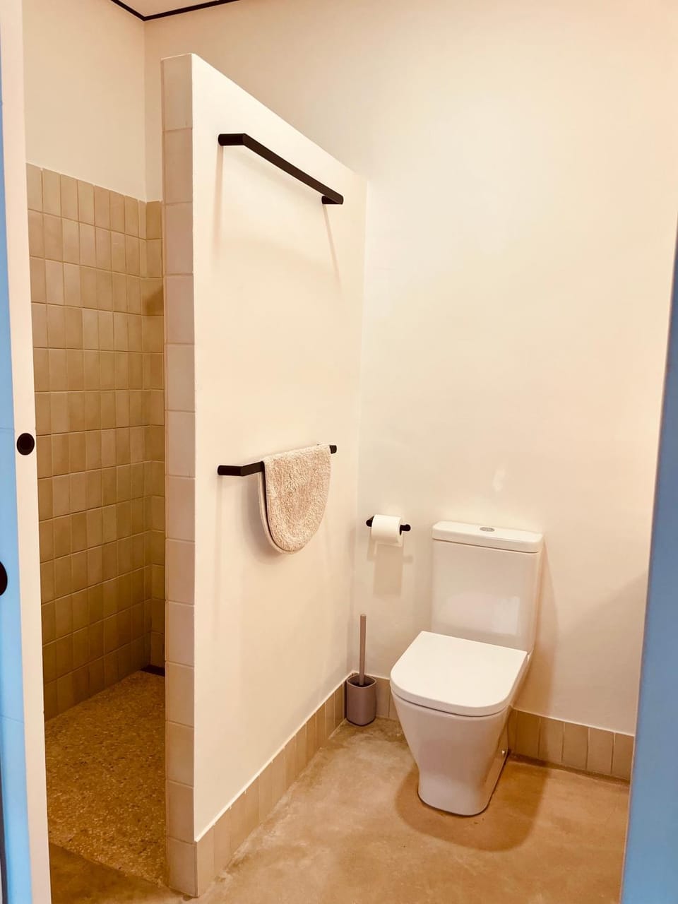 Shower, Toilet