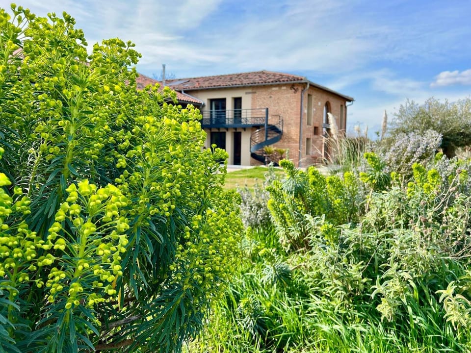 Les chambres d hôtes de la Maison Mélomane Bed and Breakfast in Occitanie