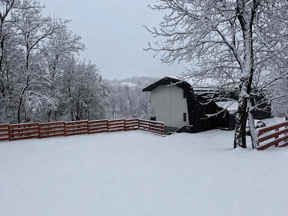Ares Chalet Bed and Breakfast in Romania