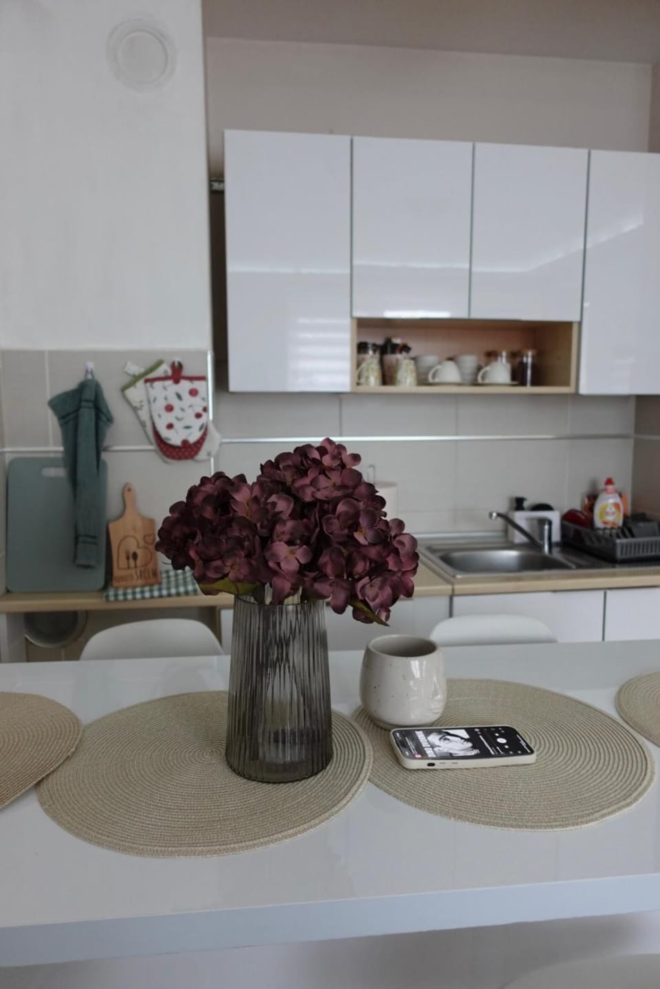 Stan u centru Niša, Obilićev venac Apartment in Serbia