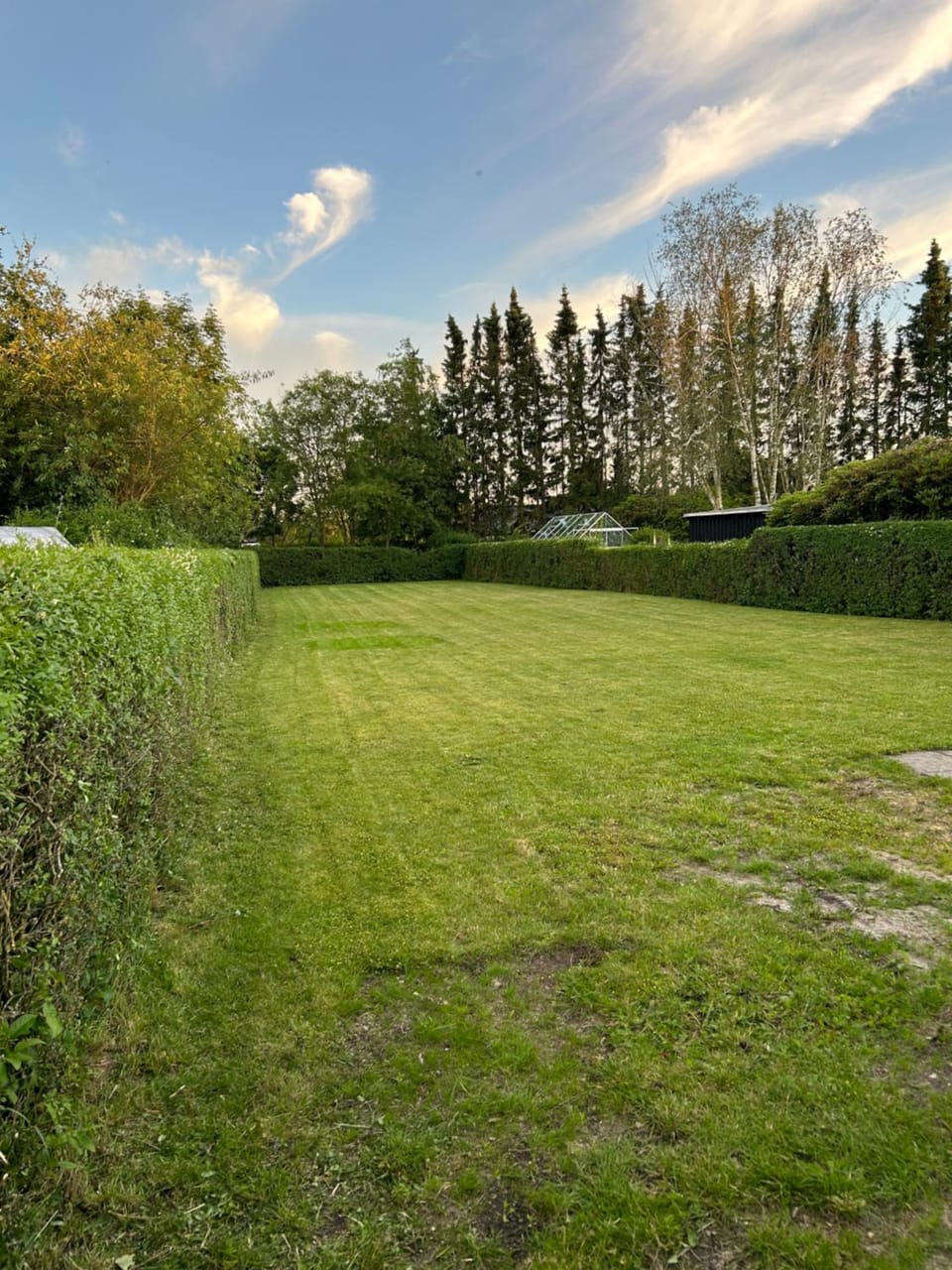 Tranevejs hytten Apartment in Region of Southern Denmark