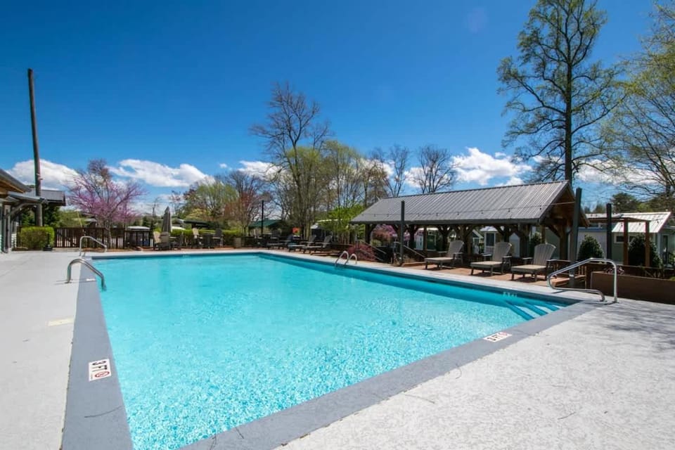 Pool view, Swimming pool, sunbed