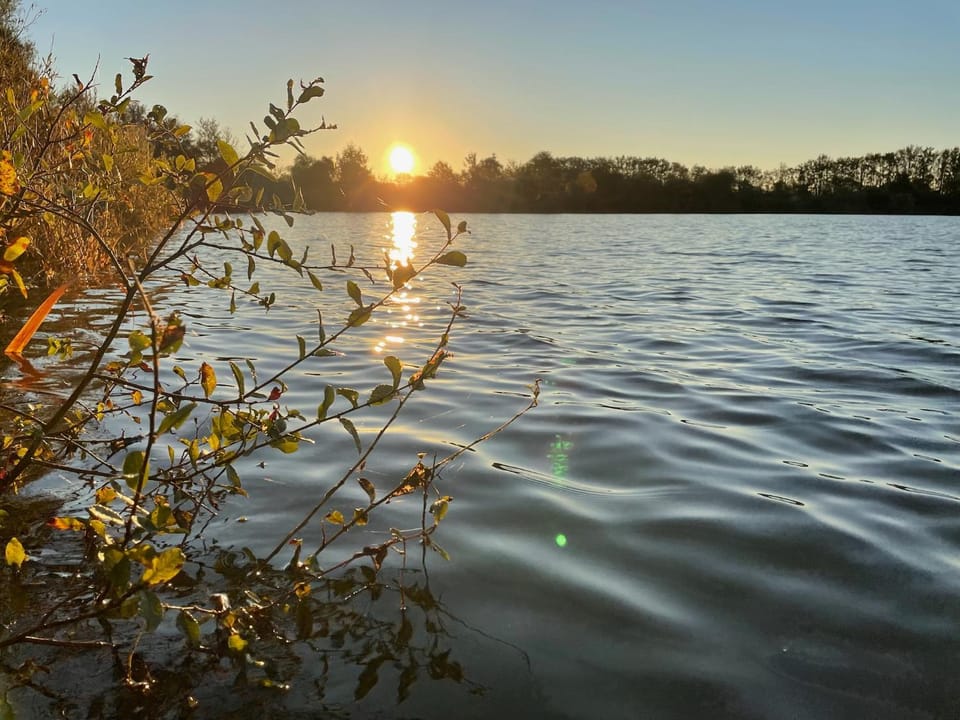 Tente vue lac avec spa 2 Luxury tent in Nouvelle-Aquitaine