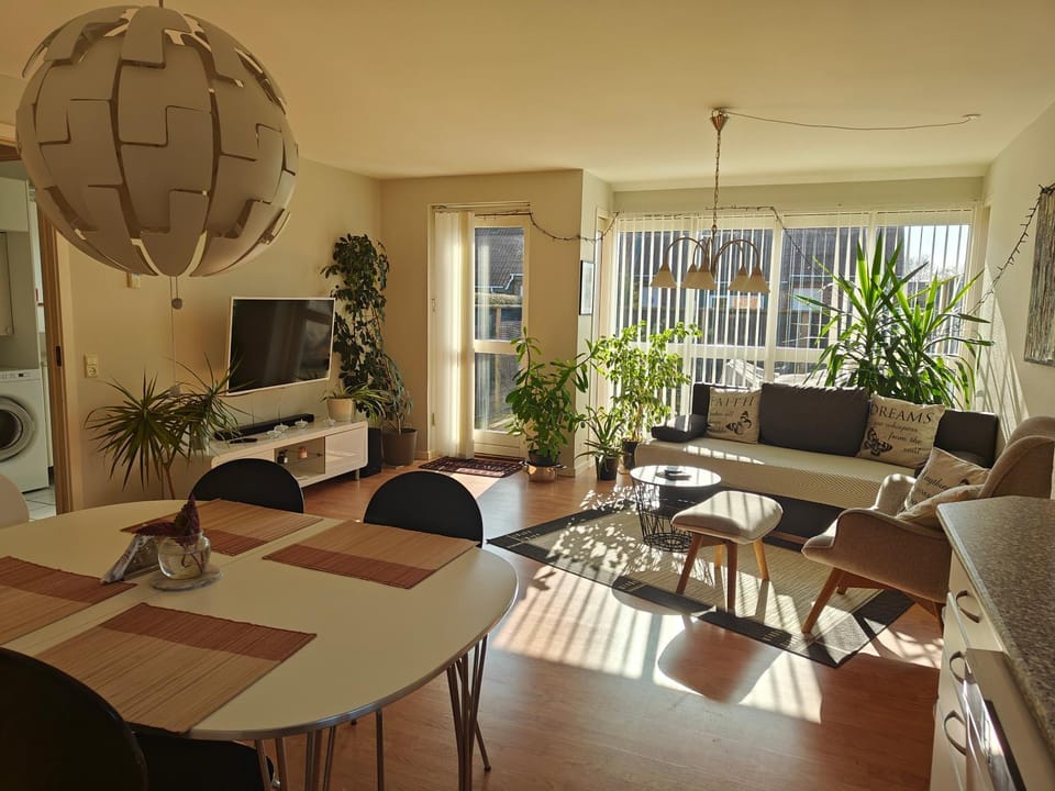 Communal lounge/ TV room, TV and multimedia