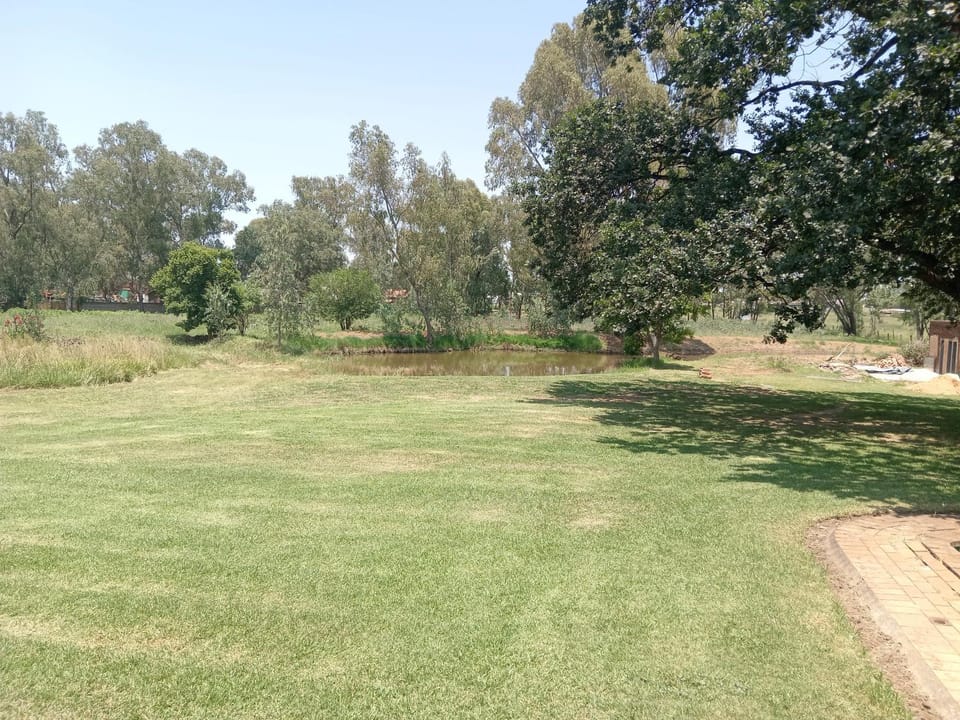 Natural landscape, Garden view
