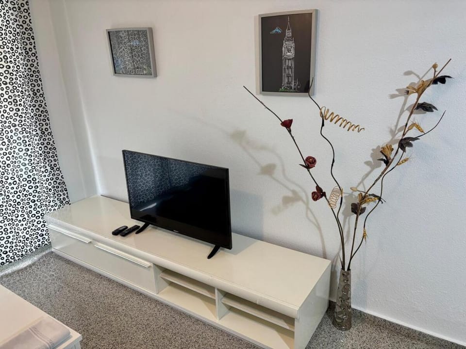 TV and multimedia