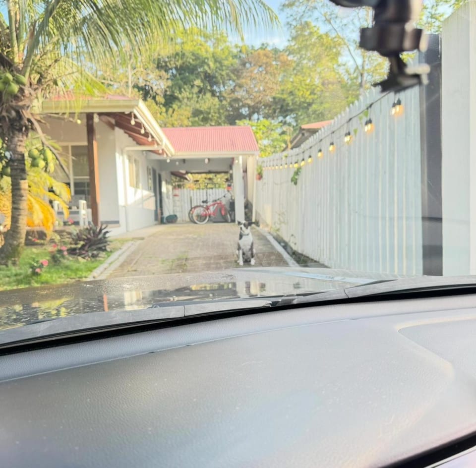 Casa Gato Vacation rental in Bocas del Toro Province