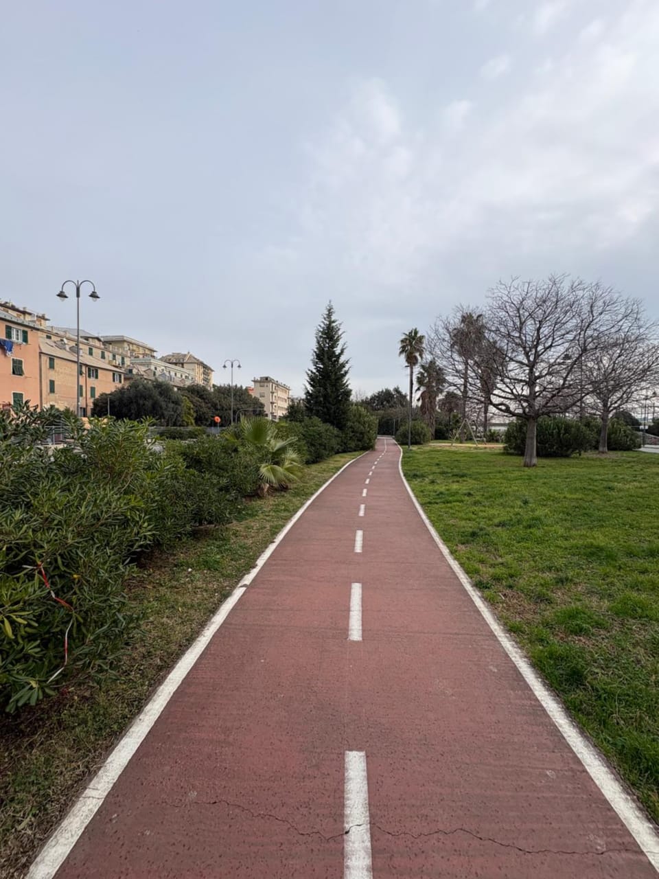 Day, Neighbourhood, Natural landscape