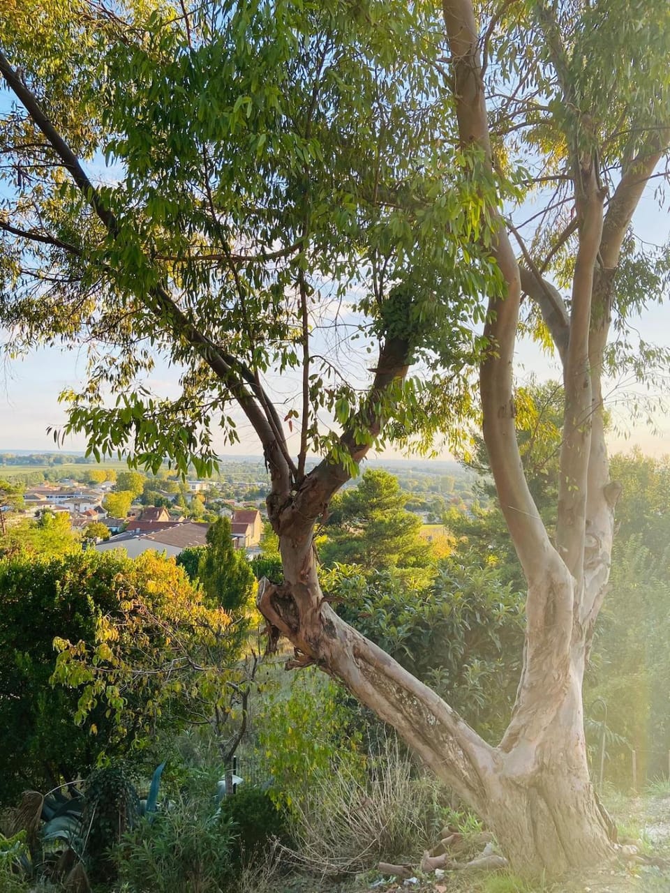 Nice villa with a view Villa in Nouvelle-Aquitaine