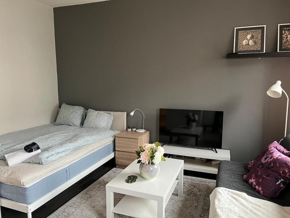 Kaarlelankatu Studio Apartment in Finland