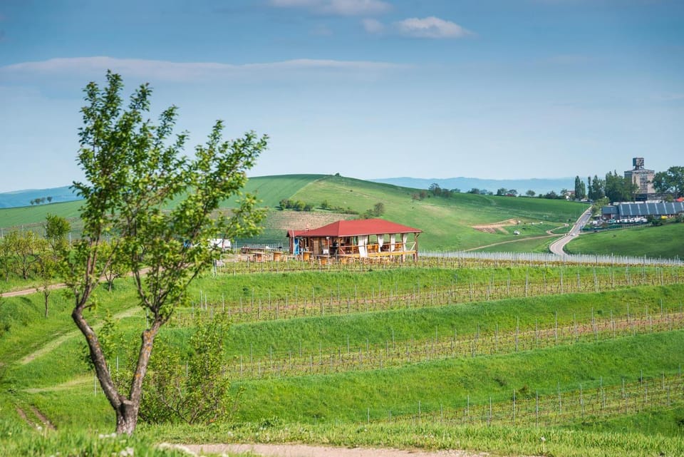 Property building, Neighbourhood, Natural landscape, Garden
