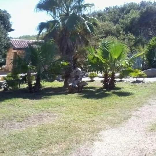 Villa Incoronata House in Apulia