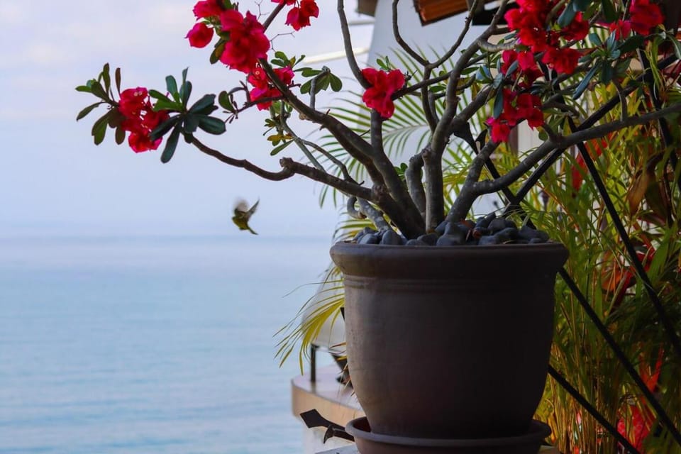 Condo Best of Life - One Bedroom Ocean Views Apartment in Puerto Vallarta