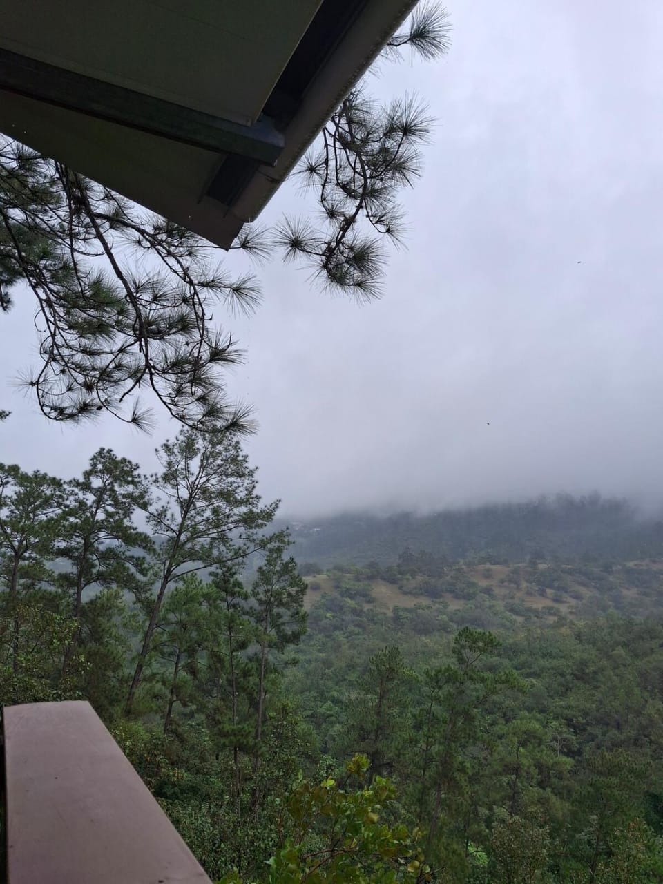 Natural landscape