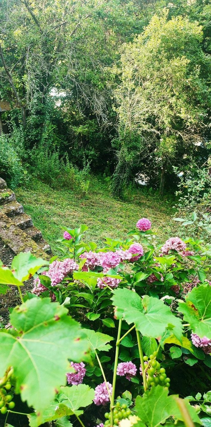 Natural landscape, Garden, Garden view