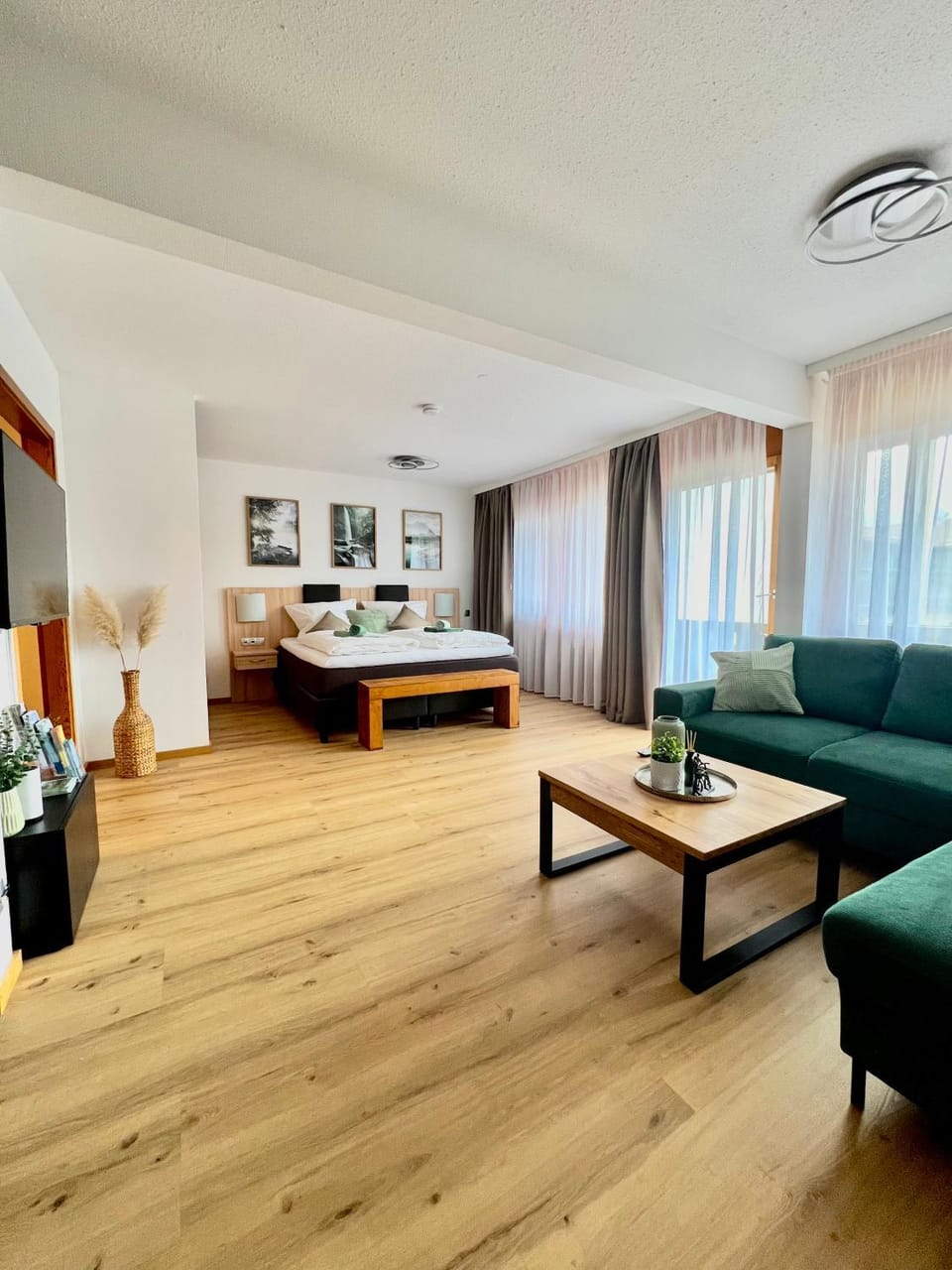 Bed, Living room, Photo of the whole room