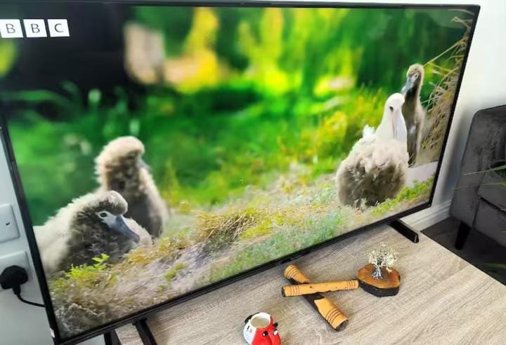 Communal lounge/ TV room, TV and multimedia, Evening entertainment