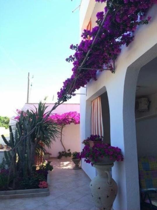 Property building, Patio, Day, Garden, View (from property/room), Balcony/Terrace, Garden view