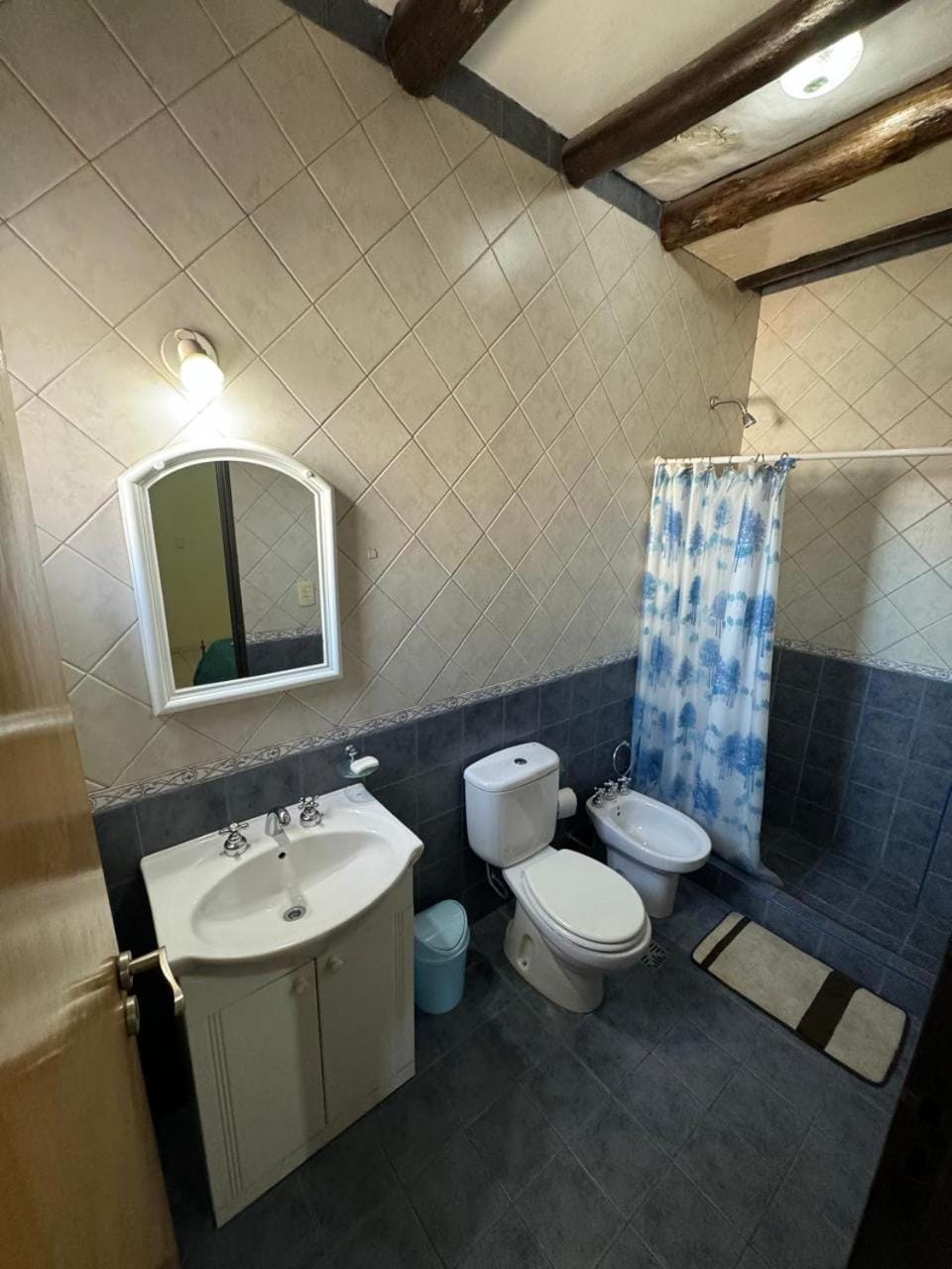 Duplex Aconcagua Apartment in Mendoza Province Province