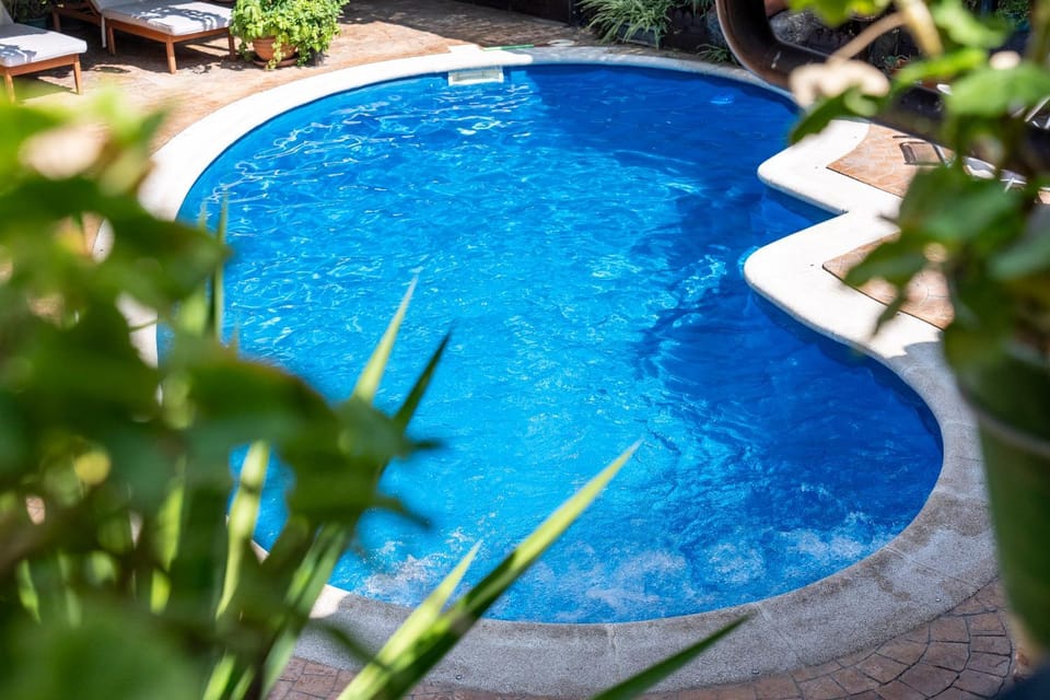 Day, Garden, Garden view, Pool view, Swimming pool