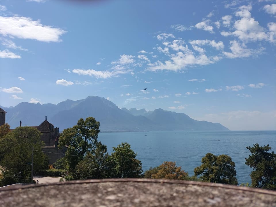View (from property/room)