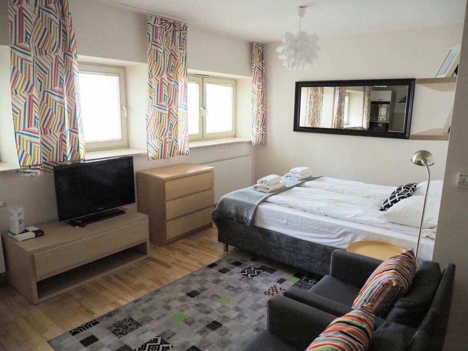 Bed, TV and multimedia, Living room, Photo of the whole room, Seating area, Bedroom