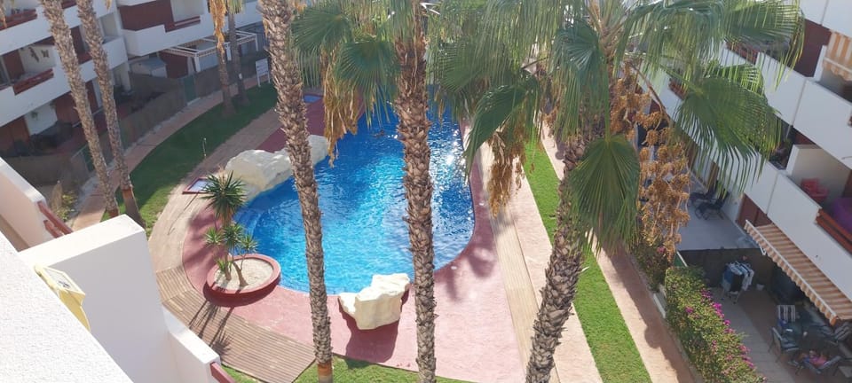 Day, Pool view, Swimming pool