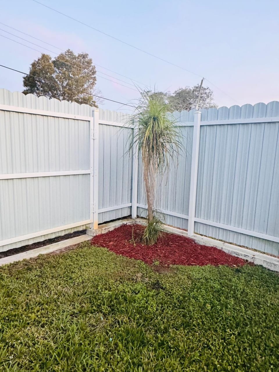 Garden view