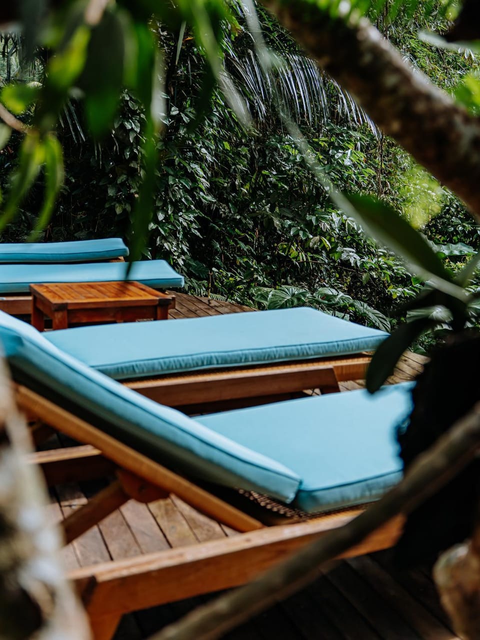Day, Garden, Garden view, sunbed