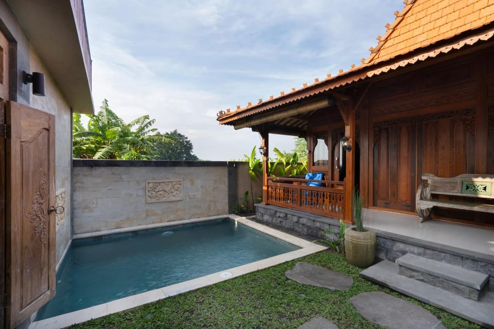 Property building, Day, Garden, Garden view, Pool view, Swimming pool, Swimming pool, sunbed