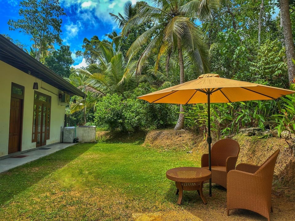 Day, Natural landscape, Garden, Garden view, furniture