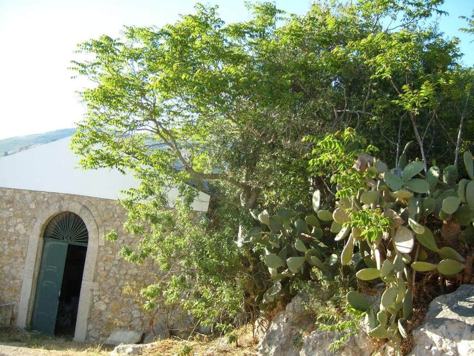 Natural landscape