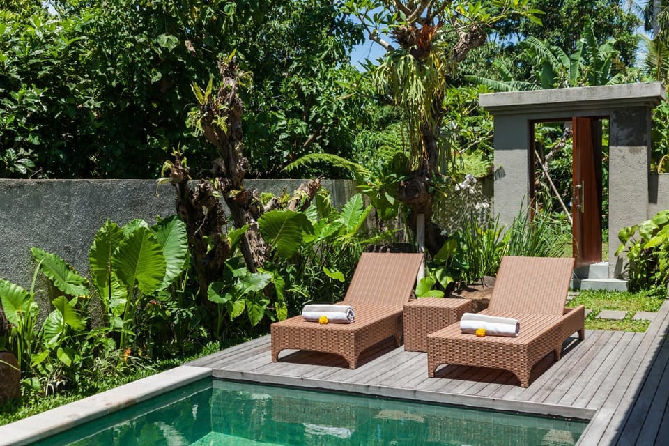 Natural landscape, Swimming pool, sunbed