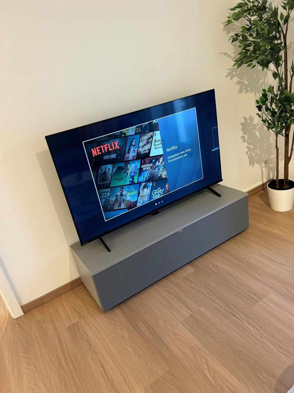 TV and multimedia, Evening entertainment