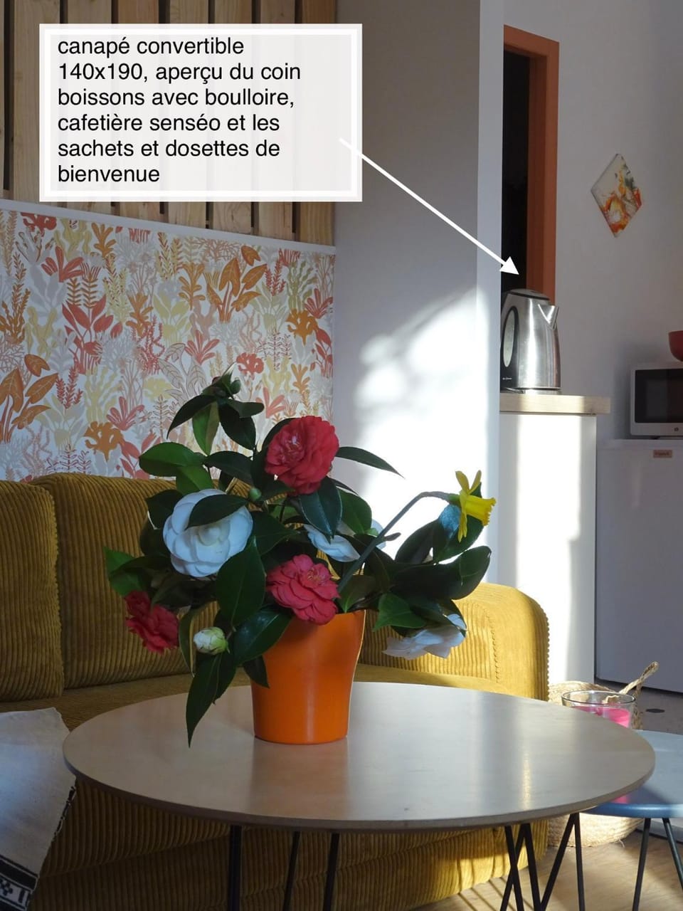 Chaleureux Henri IV Apartment in Pau