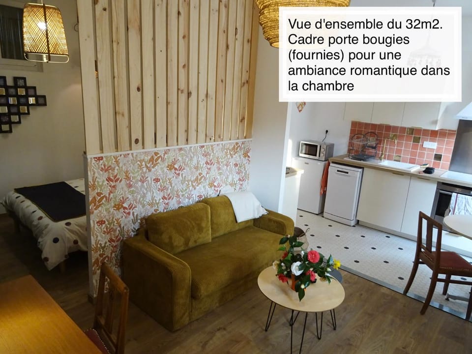Chaleureux Henri IV Apartment in Pau