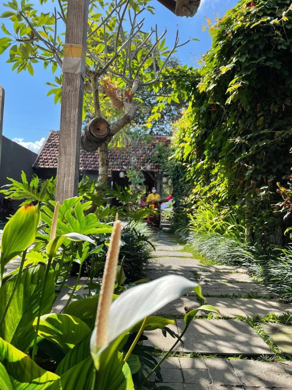 Garden, Garden view