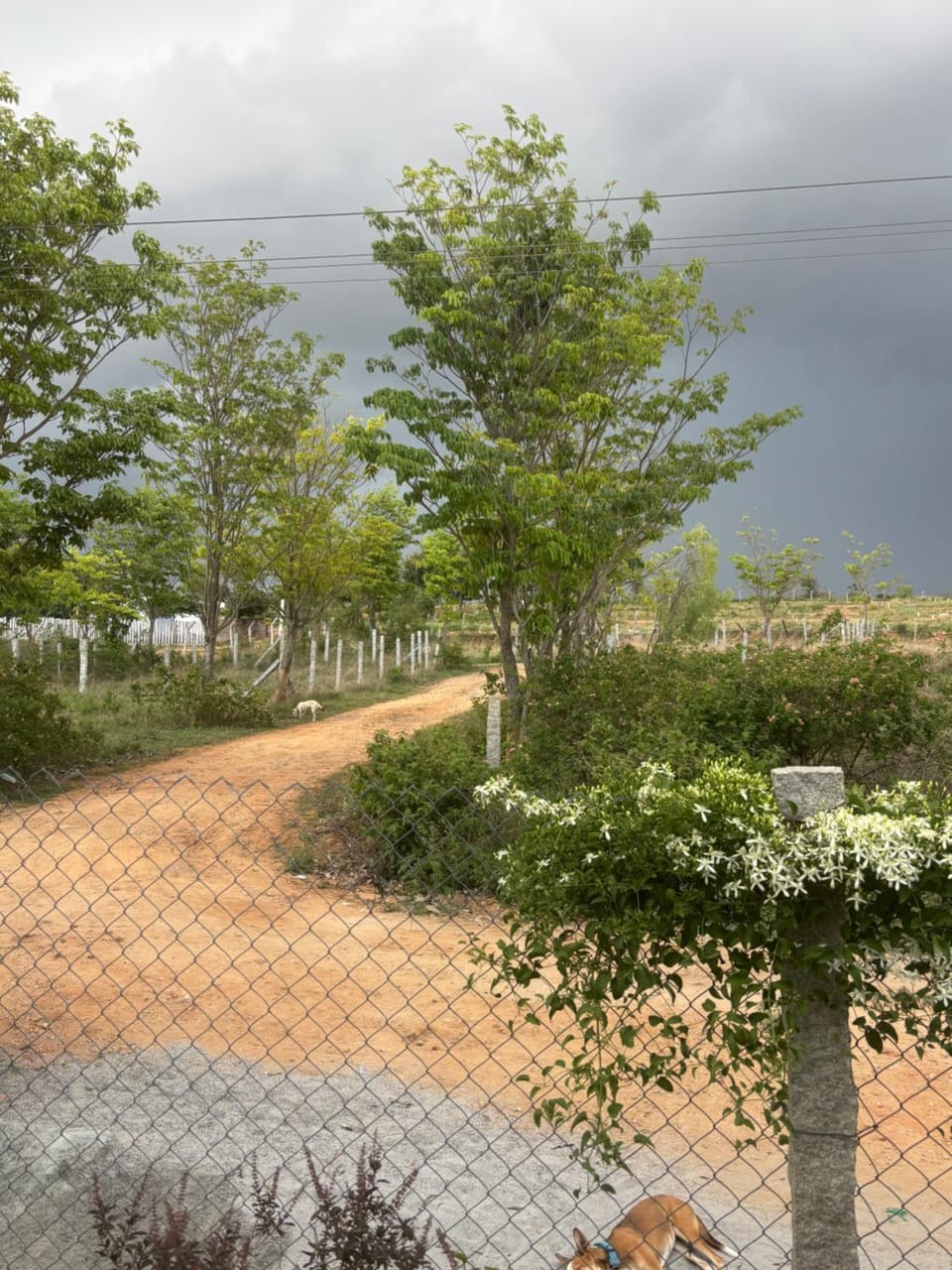 Sreevara Farms House in Tamil Nadu