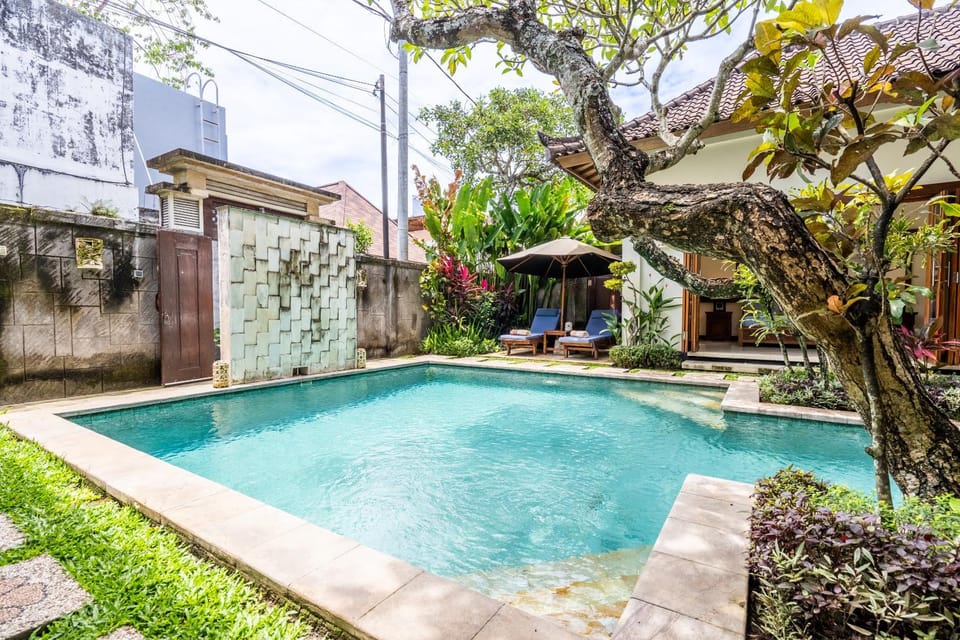 Property building, Spring, Day, Garden, Garden view, Pool view, Swimming pool, sunbed