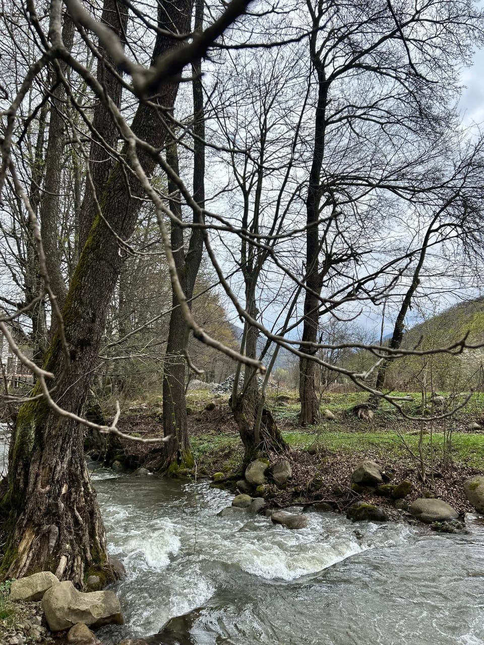 Day, Natural landscape, Mountain view, River view