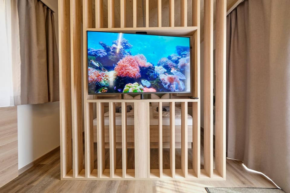 TV and multimedia