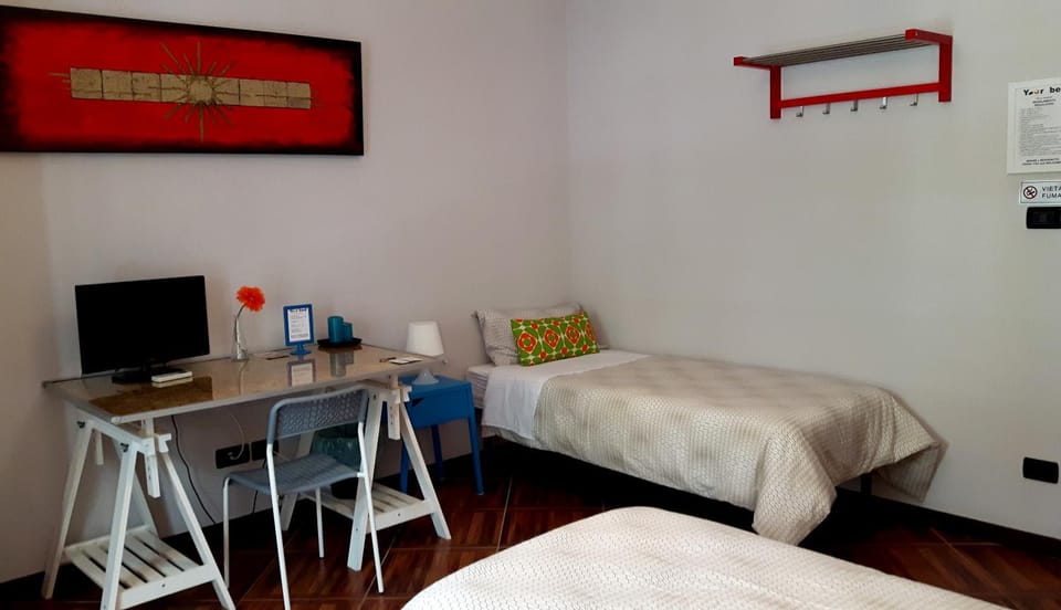 Spring, Bed, Day, Photo of the whole room, On site, Family, Family