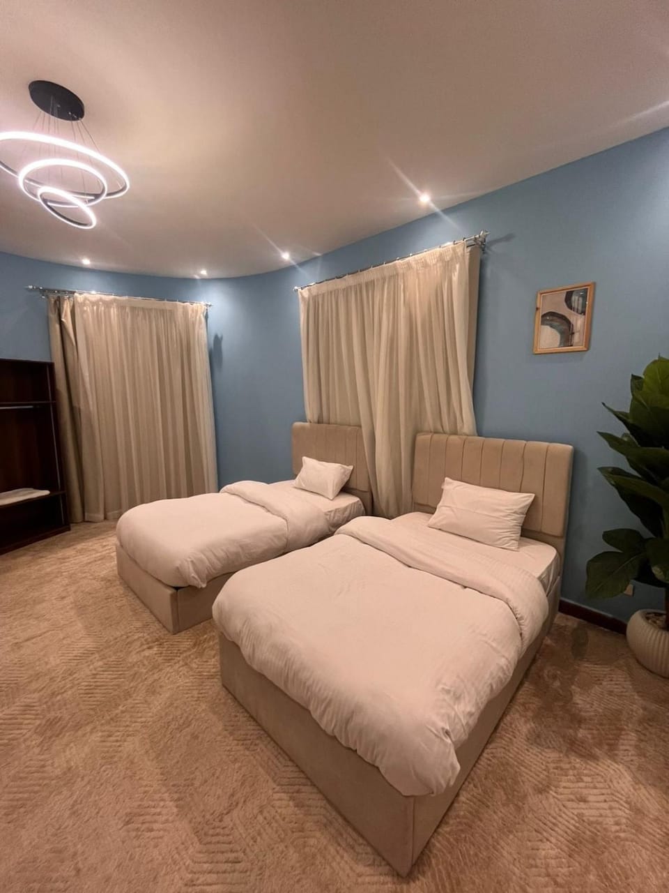Bed, Photo of the whole room