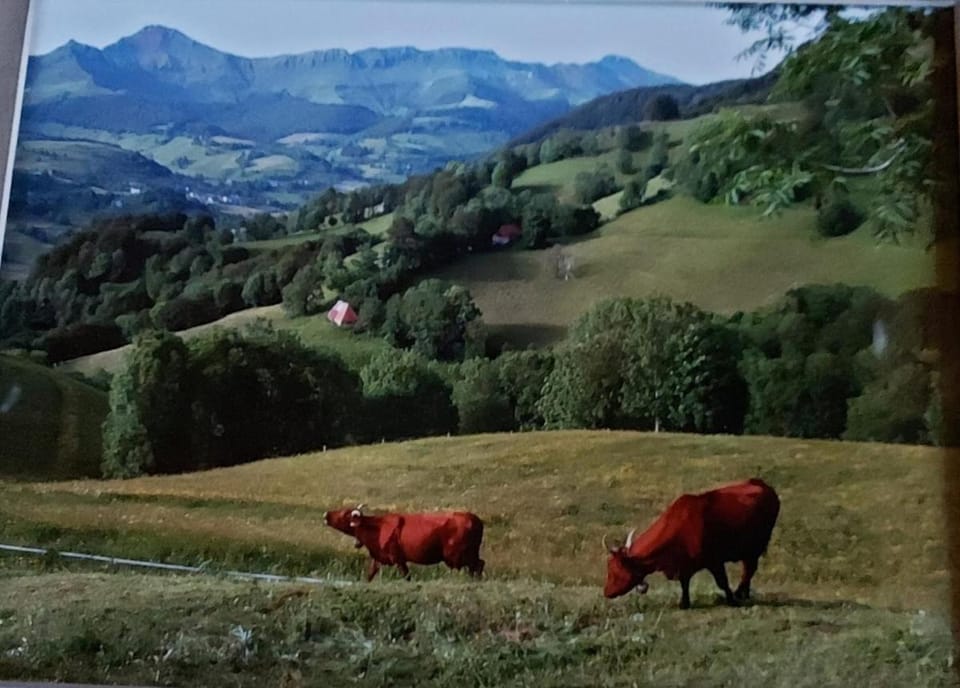 Maison au pied du puy mary House in Auvergne-Rhône-Alpes