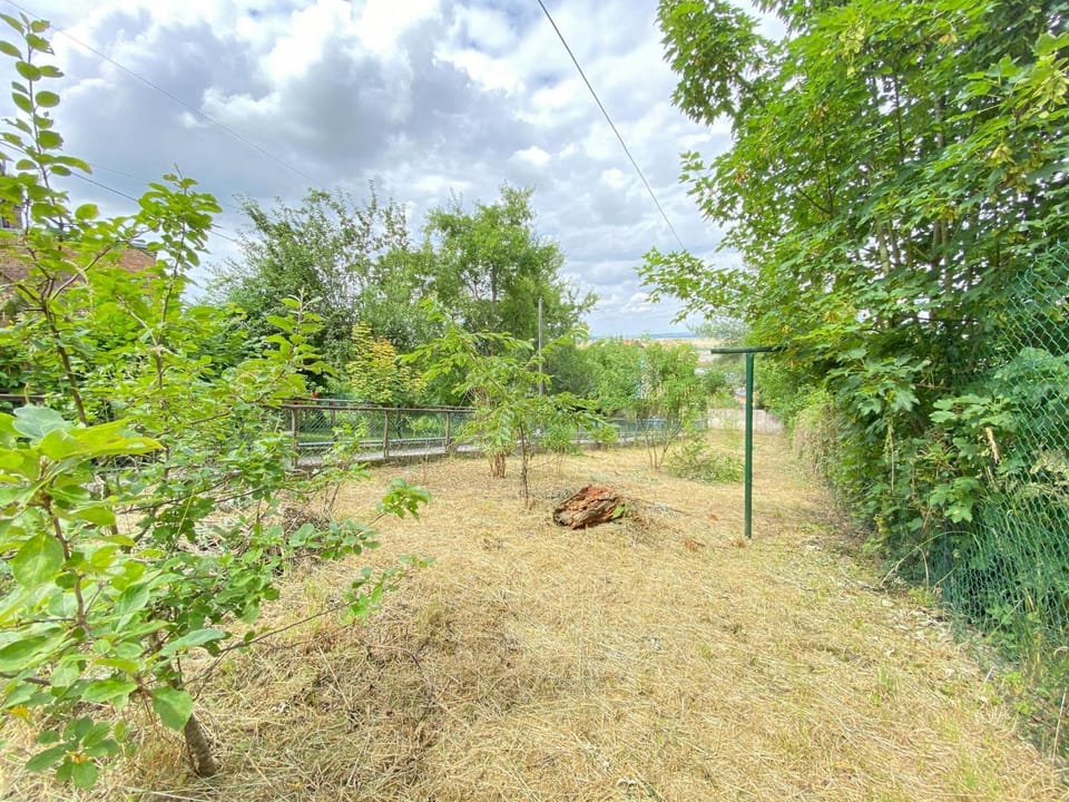 Natural landscape, Garden